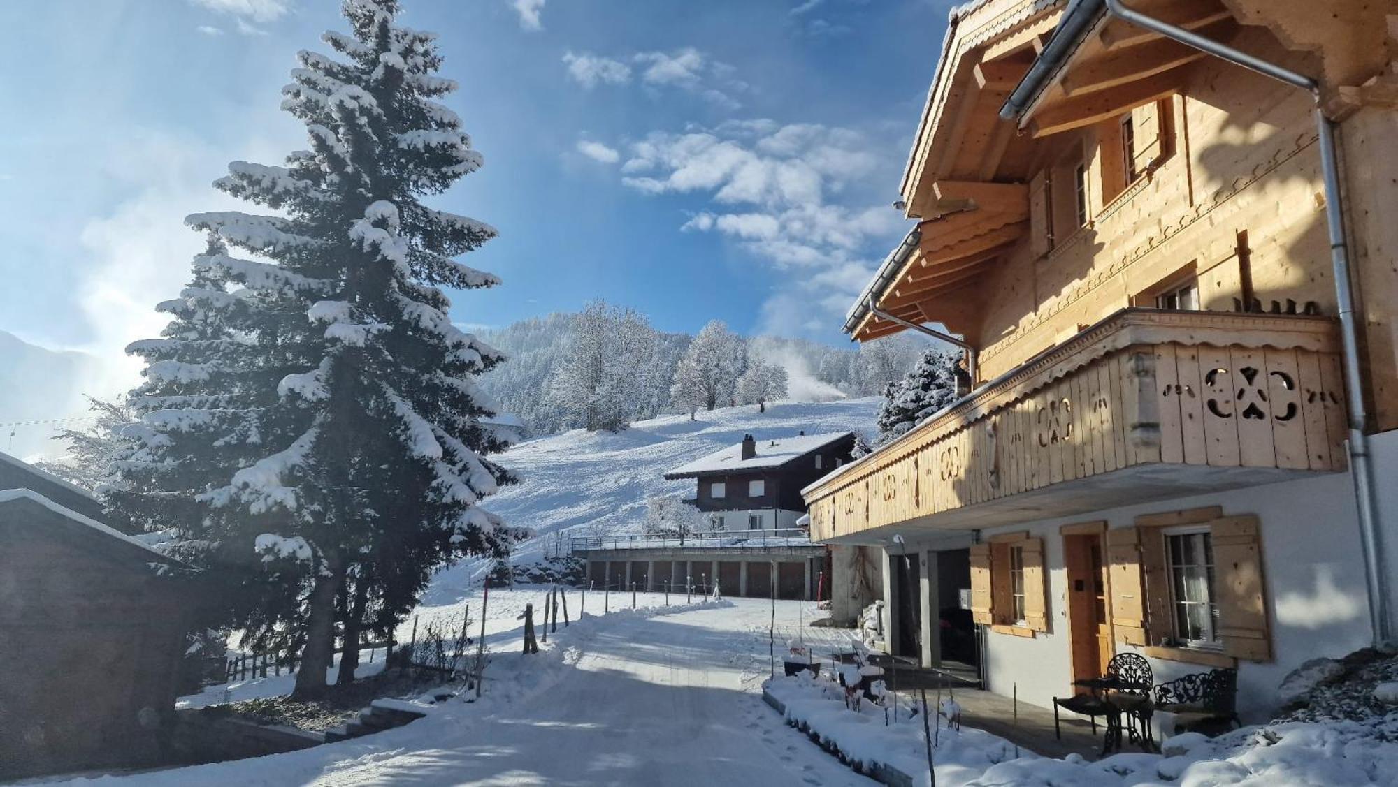 Large Deluxe Studio For 2 - Chalet Lovo Lenk Exterior photo