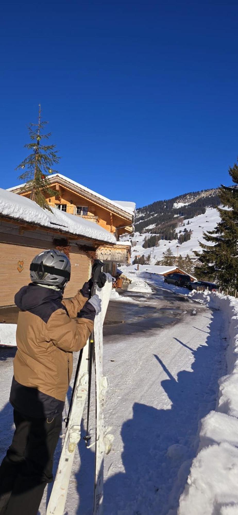 Large Deluxe Studio For 2 - Chalet Lovo Lenk Exterior photo