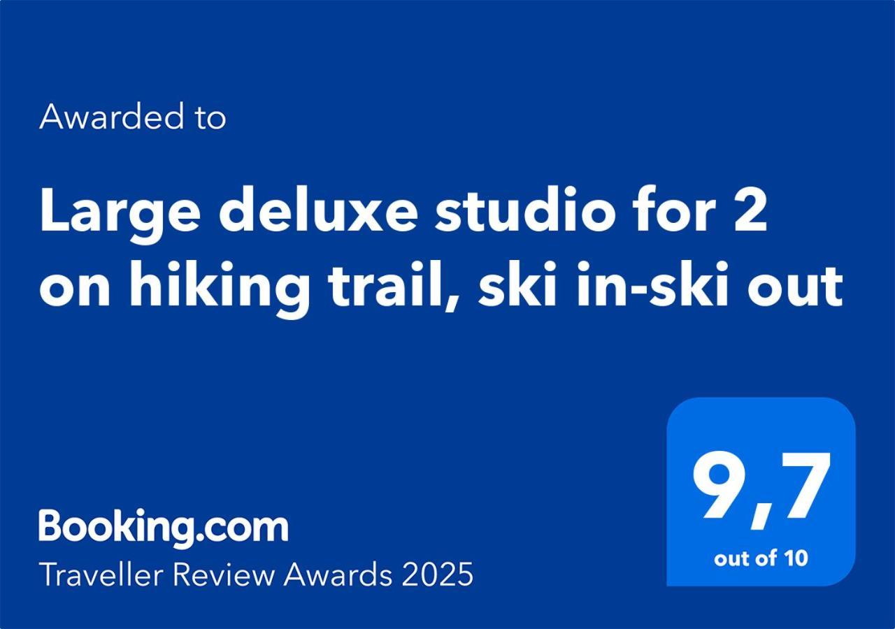 Large Deluxe Studio For 2 - Chalet Lovo Lenk Exterior photo